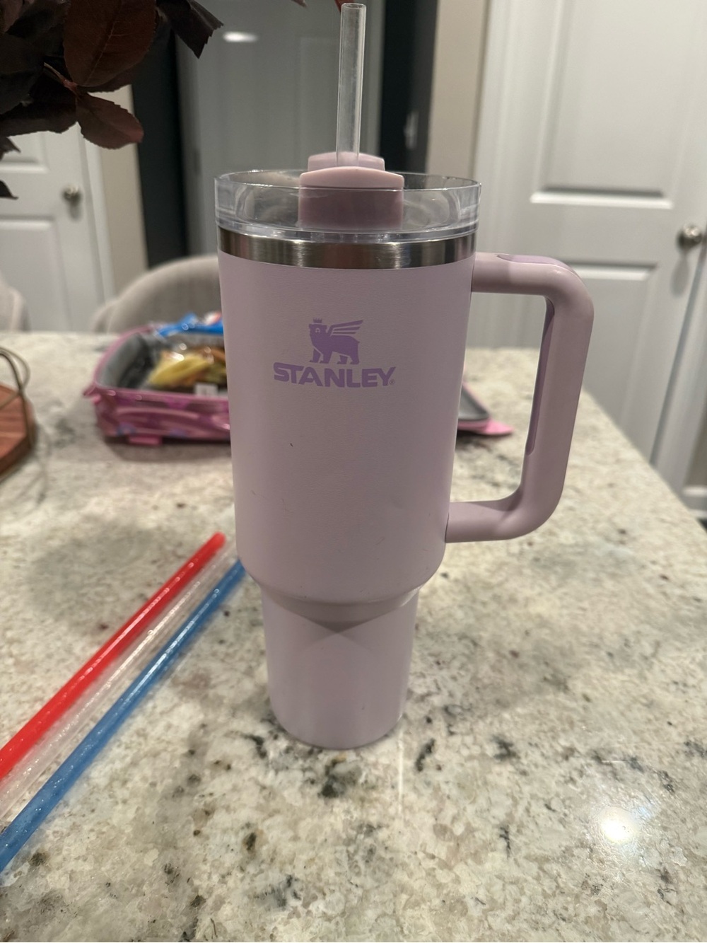 Stanley Tumbler